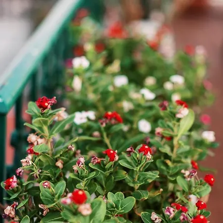 Hara's Traditional Detached House In Malona
