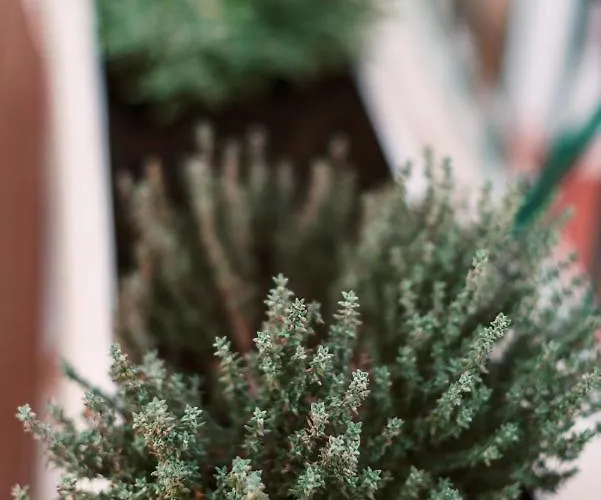 بيت للعطل Hara's Traditional Detached House In Malona