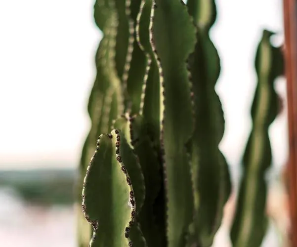 Hara's Traditional Detached House In Malona *