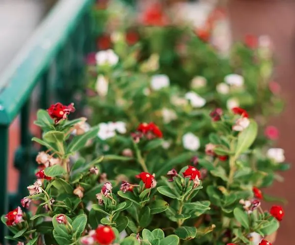 Hara's Traditional Detached House In Malona