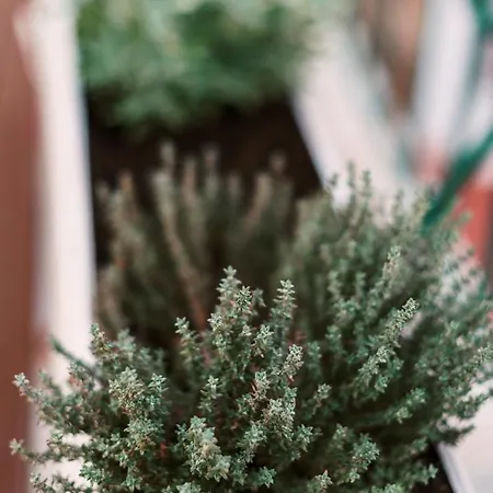 Case de vacanță Hara's Traditional Detached House In Malona