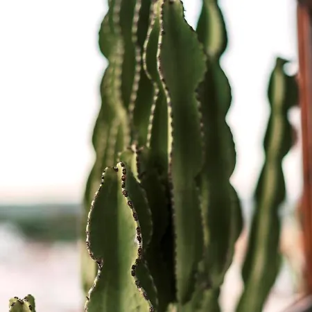 Hara's Traditional Detached House In Malona *